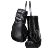 Boutiq Merch Boxing Gloves