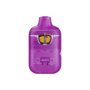Buy Boutiq V3 Disposables Blueberry / Passion Fruit switch vape
